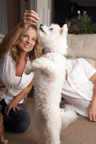 kadın köpek eğitim 