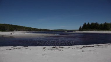 Carters plaj nova scotia