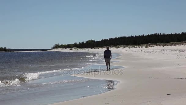 해변에 산책 하는 남자 — 비디오
