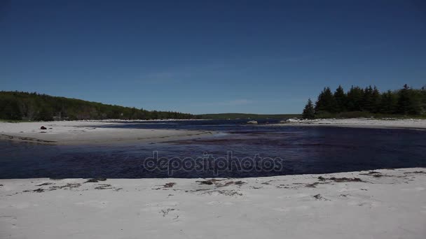 Dances and beach, Új-Skócia — Stock videók