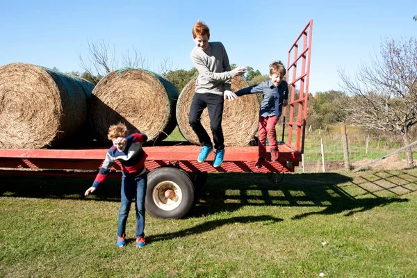 Boys playing on a farm — Stock Photo, Image