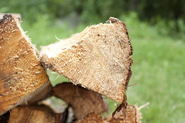 Un tronco de fogata apilado en la pila — Foto de Stock