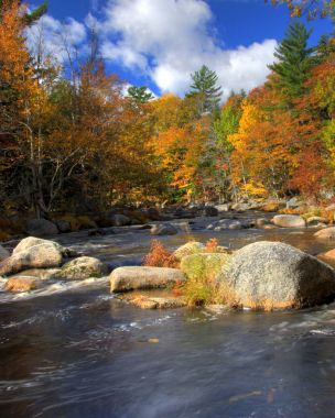 huzurlu göl veya nehir sonbahar ağaçları ile