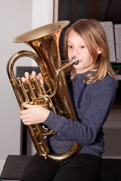 Euphonium Stock Photos, Royalty Free Euphonium Images