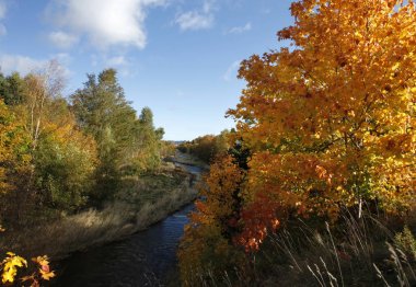 Sonbahar ağaçlar ve nehir 