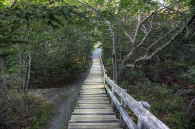 Dış adımlarla uzun uçuş 