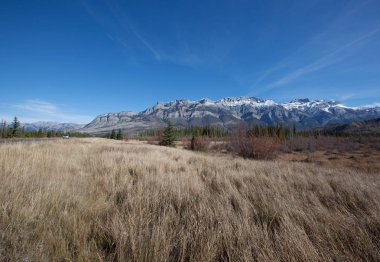 Kayalık dağ yüksek 