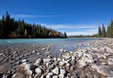 A river with pebbles on a sunny day  clipart