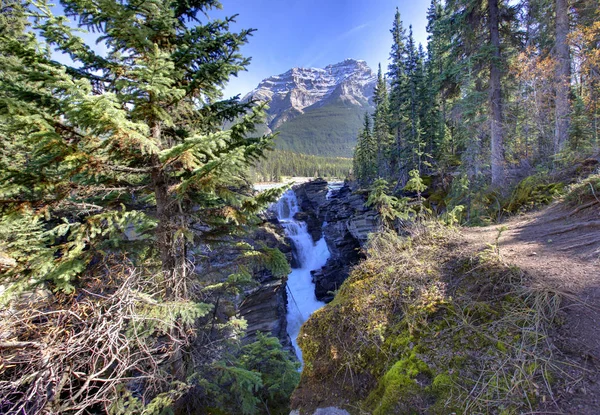 Athabasca 폭포는 숲을 통해 — 스톡 사진