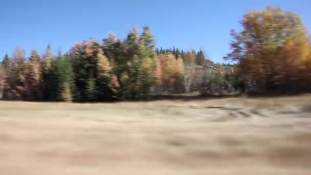 Condução ao longo da estrada no outono — Vídeo de Stock