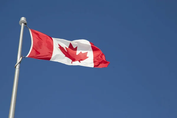 Flaga Kanady poza — Zdjęcie stockowe