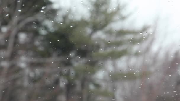 Холодный Зимний Снег Дождь Выпадает Стеклянное Окно Автомобиля — стоковое видео