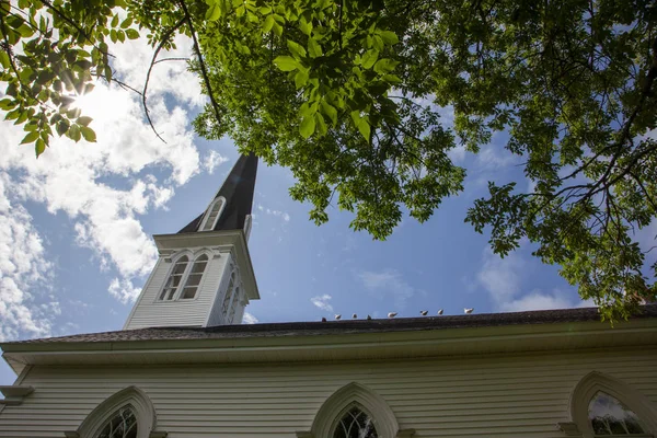 Pájaros bordean la azotea de una iglesia — Foto de Stock