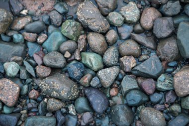 Okyanus tabanında mavi renkli ıslak kayalar.