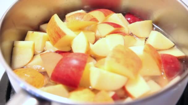 Яблочный соус готовится — стоковое видео