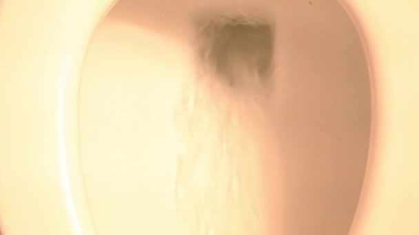 Water flushing down toilet — Stock Video