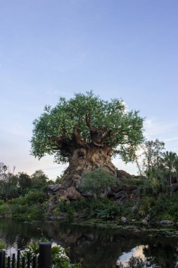February 23, 2020- Animal Kingdom, Orlando, Florida: The famous landmark tree of life with 300 animal carvings