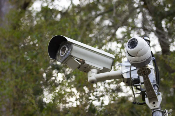 Ett Övervakningssystem Eller Övervakningskamera Utomhus Park — Stockfoto