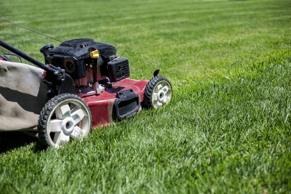 Cortando el césped en el patio delantero — Foto de Stock