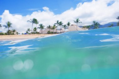 Tropikal Island beach resort