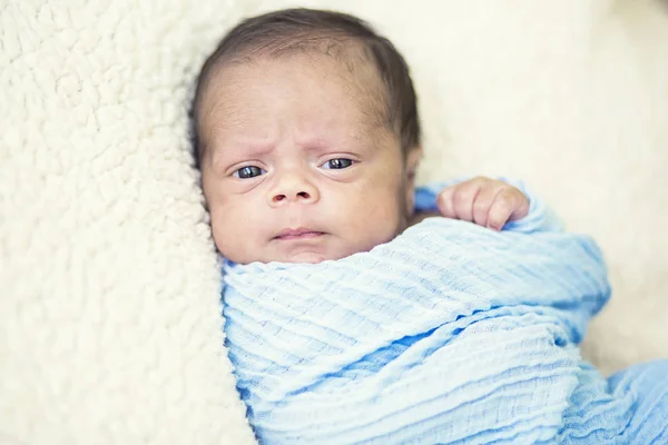 Porträt Eines Süßen Neugeborenen Jungen Einer Decke — Stockfoto