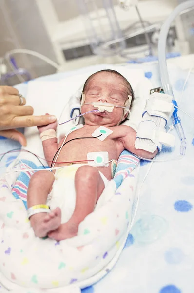 Porträtt Sovande Nyfödd Baby Klinik — Stockfoto