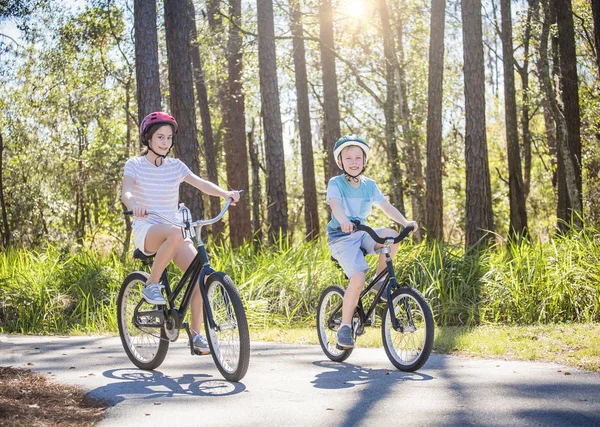 两个孩子在户外绿林的自行车道上一起骑自行车 玩得很开心 在阳光灿烂温暖的日子里 微笑着欣赏大自然 在夏天锻炼和积极活动 — 图库照片