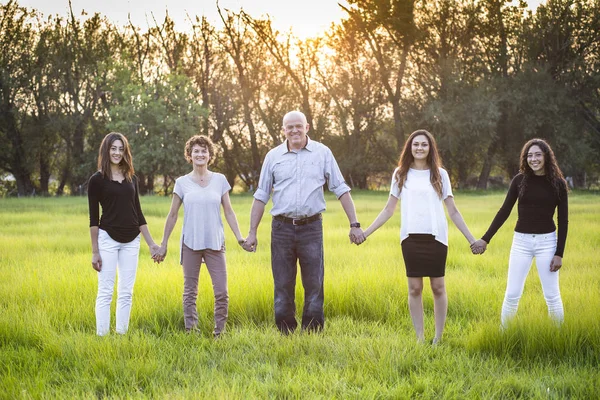 Sorrindo Atraente Bela Família Segurando Mãos Juntas Livre Campo Grama — Fotografia de Stock