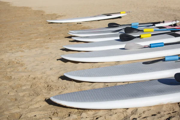 Row Stand Paddle Boards Resting Beach Ready Rent Sups All — Stock Photo, Image