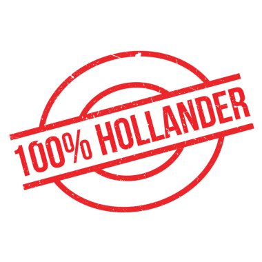 yüzde 100 hollander pencere boyutu