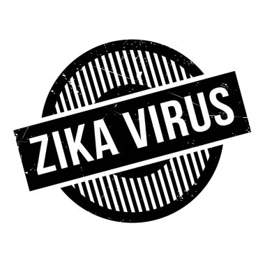 zika virüs pencere boyutu