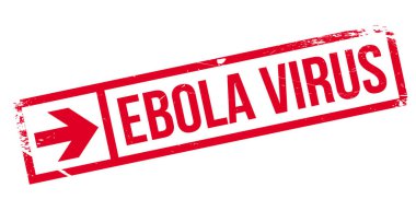 Ebola virüsü pencere boyutu
