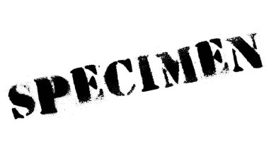 Numune pencere boyutu