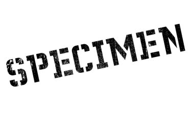 Numune pencere boyutu