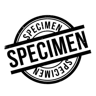 Numune pencere boyutu