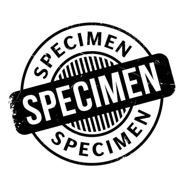 Numune pencere boyutu