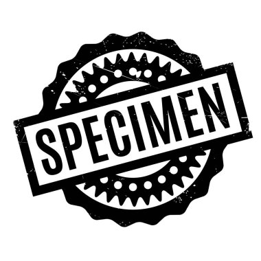 Numune pencere boyutu