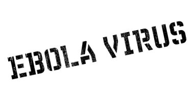 Ebola virüsü pencere boyutu