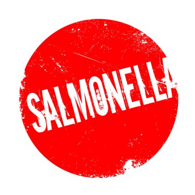 Salmonella pencere boyutu