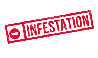 İstila pencere boyutu