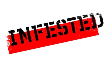 Musallat pencere boyutu