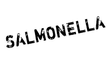 Salmonella pencere boyutu