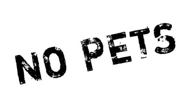 Hiçbir evcil hayvan pencere boyutu