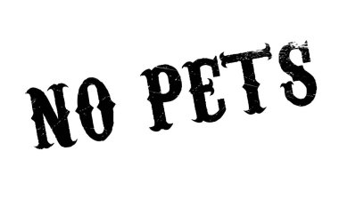 Hiçbir evcil hayvan pencere boyutu