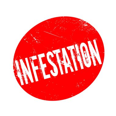 İstila pencere boyutu