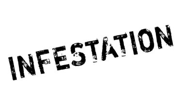 İstila pencere boyutu