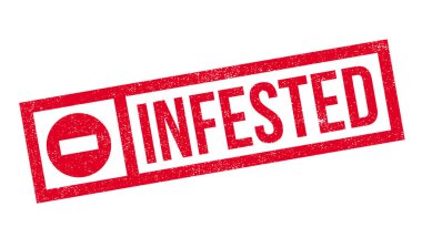 Musallat pencere boyutu