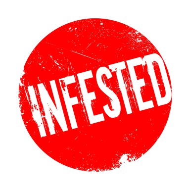 Musallat pencere boyutu