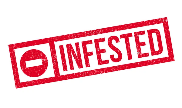 Musallat pencere boyutu