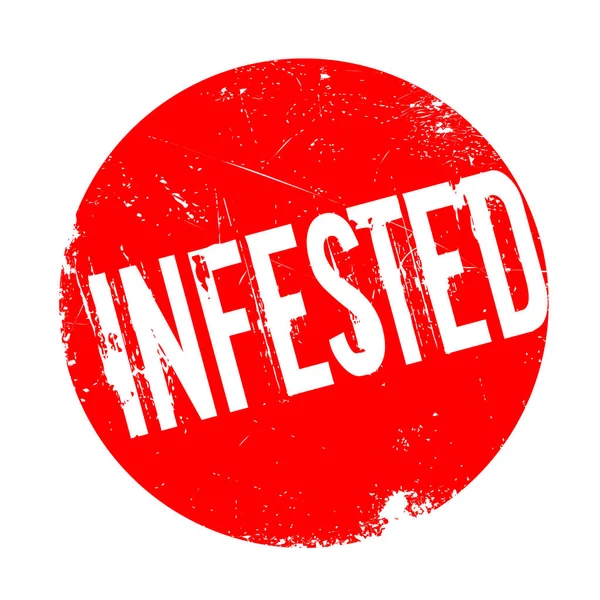 Musallat pencere boyutu